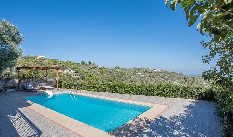Villa alegria Città di Skopelos Esterno foto